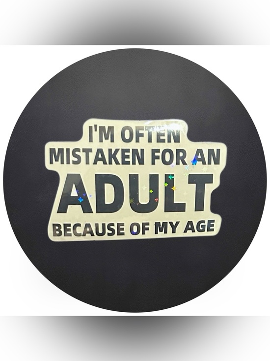 Other - 5 for $5 IM OFTEN MISTAKEN FOR AN ADULT… Vinyl Holographic Sticker